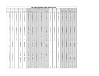 2018 Endeavor Team Challenge Detailed Scoring